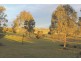 140 Heraghty Road, Parkes NSW 2870