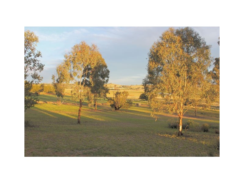 140 Heraghty Road, Parkes NSW 2870