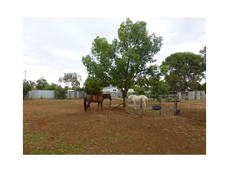 13 Hutton Street, Trundle NSW 2875