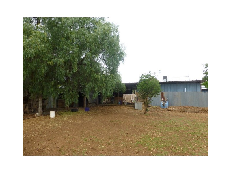 13 Hutton Street, Trundle NSW 2875