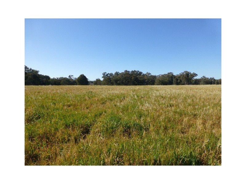 Lot 8 Renshaw McGirr Way, Parkes NSW 2870