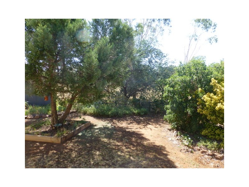 2 Newell Highway, Peak Hill NSW 2869