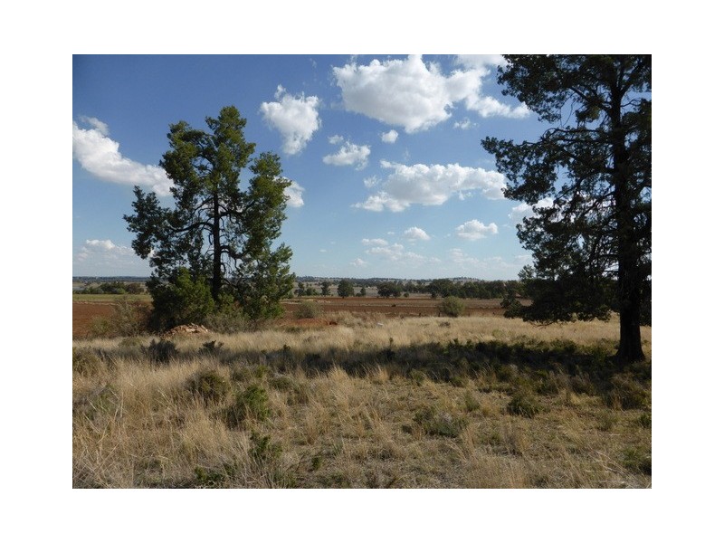 1A Welcome Road, Parkes NSW 2870
