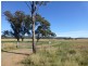 54 Cooka Hills Road, Parkes NSW 2870