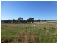 54 Cooka Hills Road, Parkes NSW 2870
