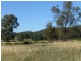 54 Cooka Hills Road, Parkes NSW 2870