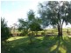 37 Bleechmore Road, Parkes NSW 2870