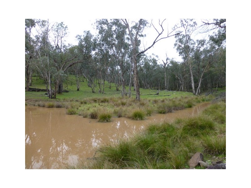 Eugowra NSW 2806