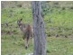 Eugowra NSW 2806