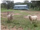 Eugowra NSW 2806