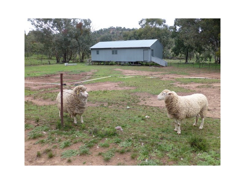 Eugowra NSW 2806