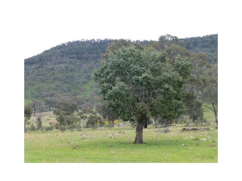Eugowra NSW 2806