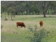 Eugowra NSW 2806