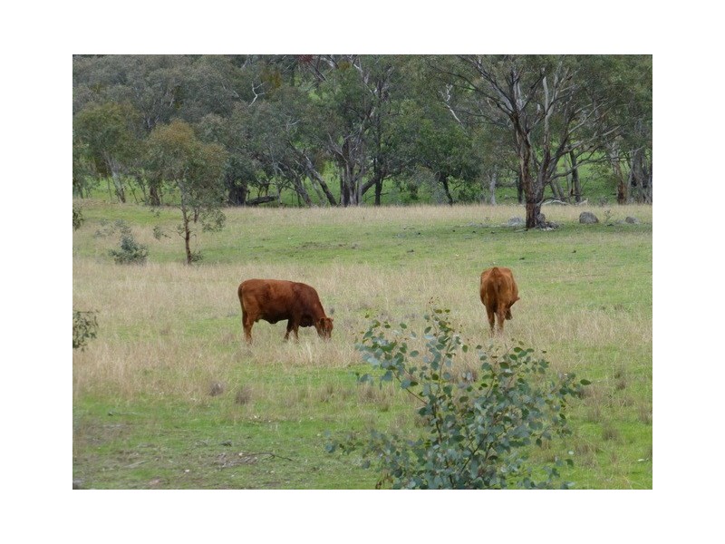 Eugowra NSW 2806