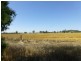 Parkes NSW 2870