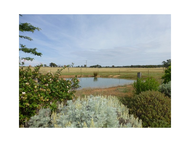 196 Peak Hill Road, Baldry NSW 2867