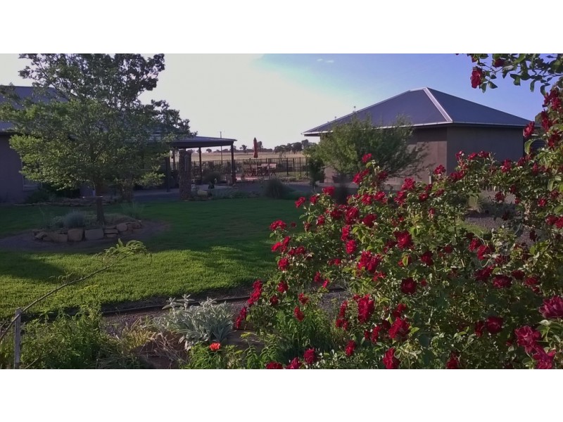196 Peak Hill Road, Baldry NSW 2867