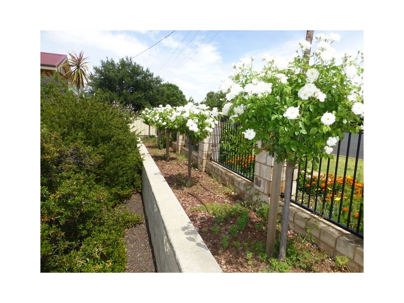Unit 3/55 Bushman Street, Parkes NSW 2870