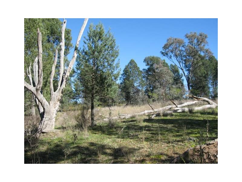 89 Amaroo Way, Parkes NSW 2870