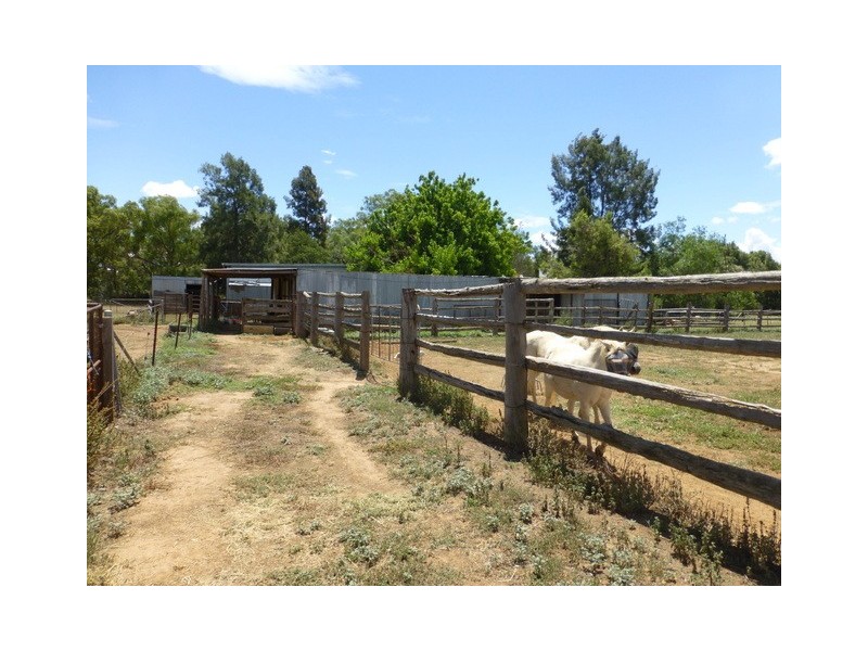 45 Kelly Road, Parkes NSW 2870