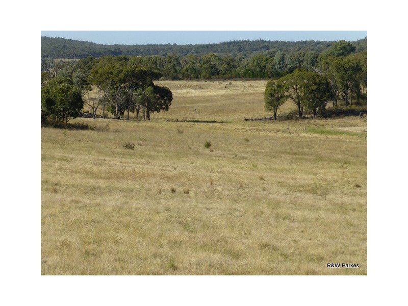 389 Old Bocobra Rd, Manildra NSW 2865