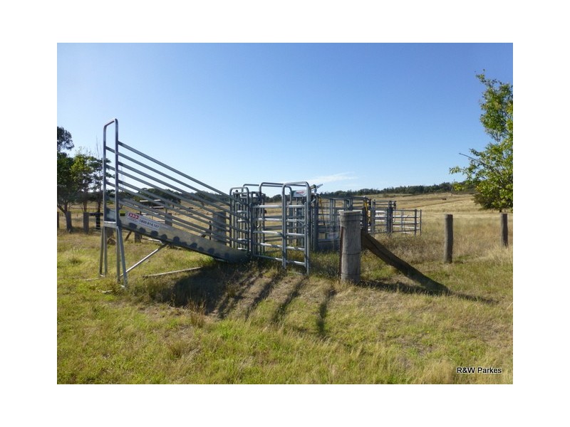 389 Old Bocobra Rd, Manildra NSW 2865