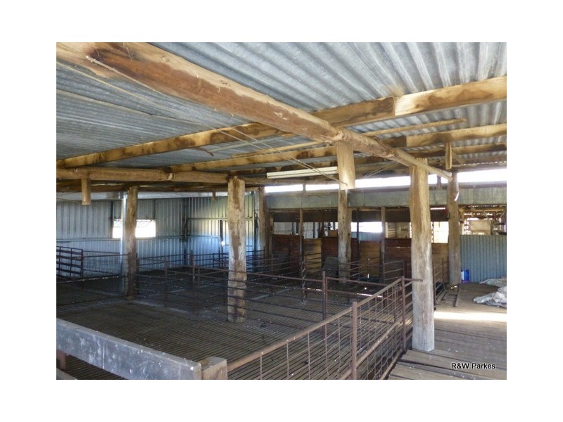 389 Old Bocobra Rd, Manildra NSW 2865