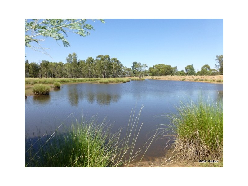1180 Collingwood Lane, Bruie Plains NSW 2875