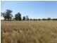 1180 Collingwood Lane, Bruie Plains NSW 2875