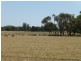 1180 Collingwood Lane, Bruie Plains NSW 2875