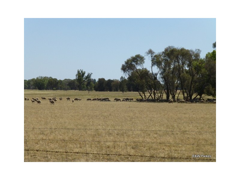 1180 Collingwood Lane, Bruie Plains NSW 2875