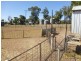 1180 Collingwood Lane, Bruie Plains NSW 2875