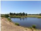 1180 Collingwood Lane, Bruie Plains NSW 2875