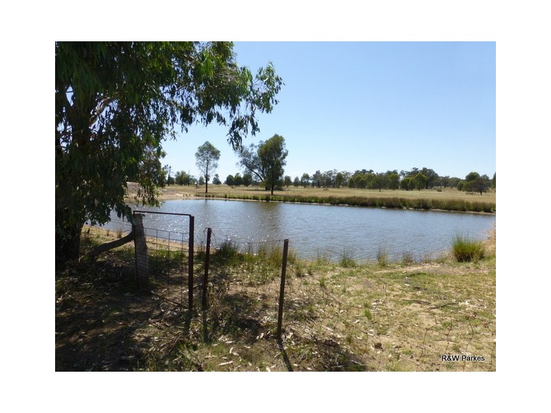 1180 Collingwood Lane, Bruie Plains NSW 2875