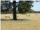 1180 Collingwood Lane, Bruie Plains NSW 2875