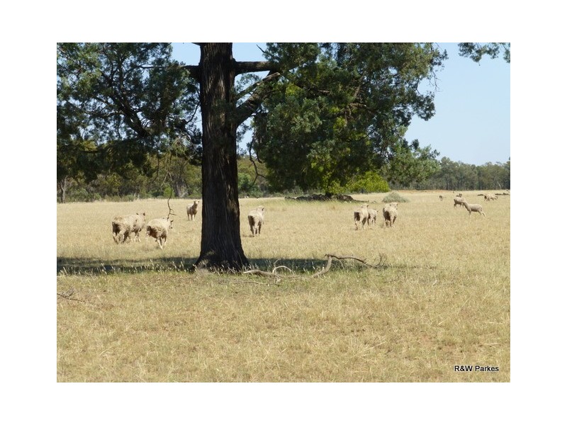 1180 Collingwood Lane, Bruie Plains NSW 2875