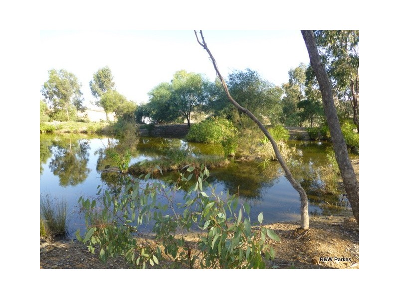 86 Deep Lead Road, Parkes NSW 2870