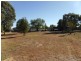 42 Thomas Street, Parkes NSW 2870