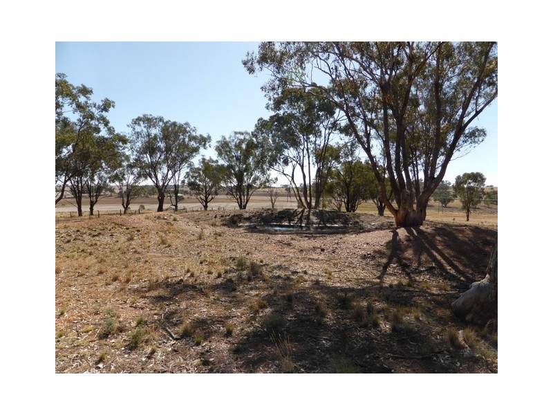 31 Magill Lane, Parkes NSW 2870