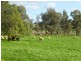 0 ‘Linden’ Bogan Road, Parkes NSW 2870