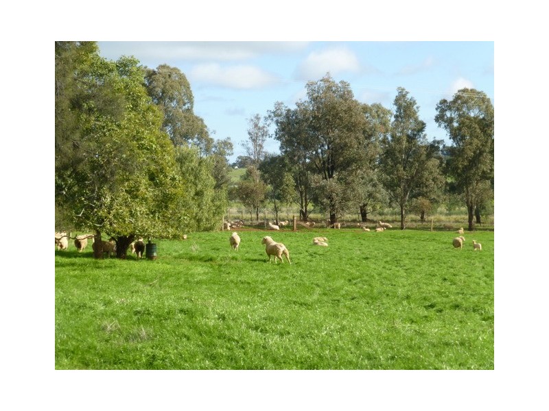 0 ‘Linden’ Bogan Road, Parkes NSW 2870