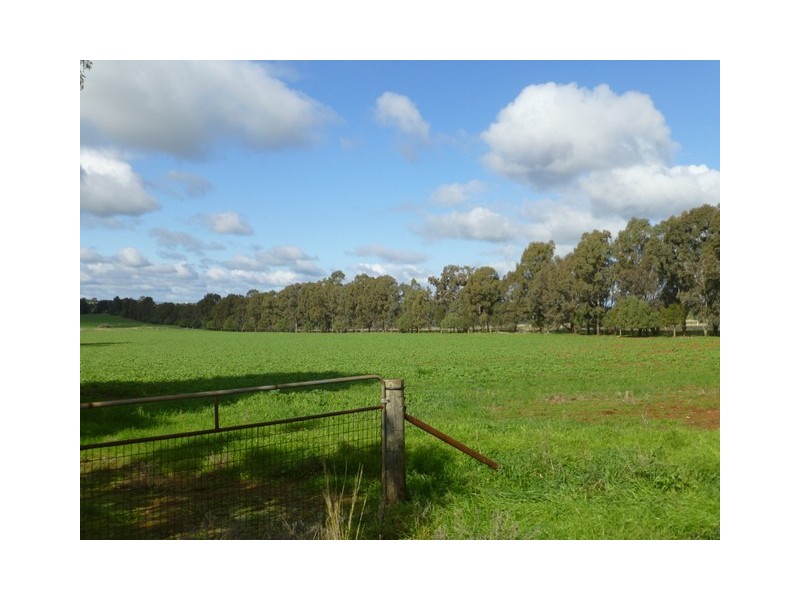 0 ‘Linden’ Bogan Road, Parkes NSW 2870