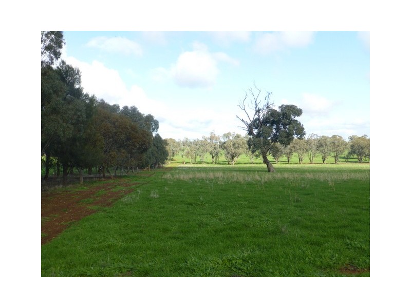0 ‘Linden’ Bogan Road, Parkes NSW 2870