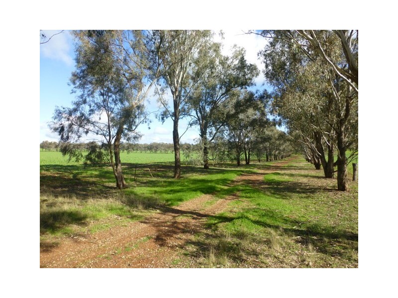 0 ‘Linden’ Bogan Road, Parkes NSW 2870