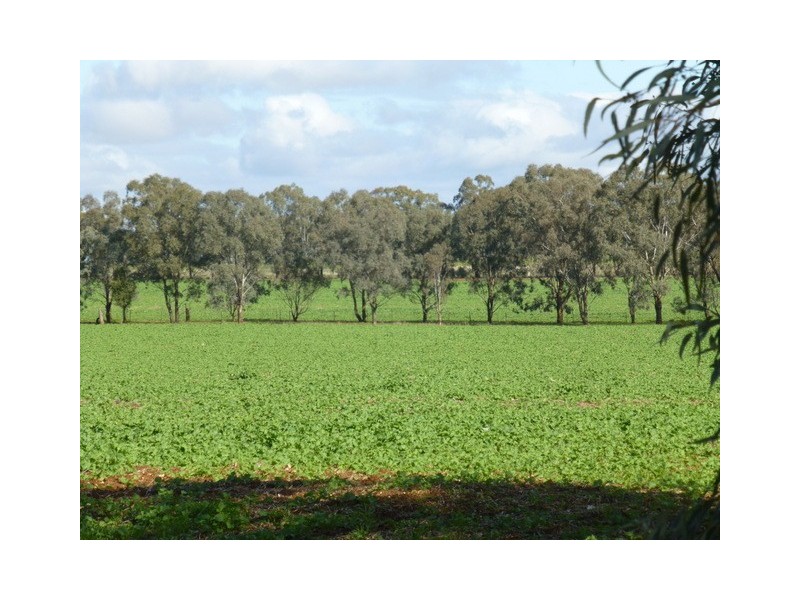 0 ‘Linden’ Bogan Road, Parkes NSW 2870