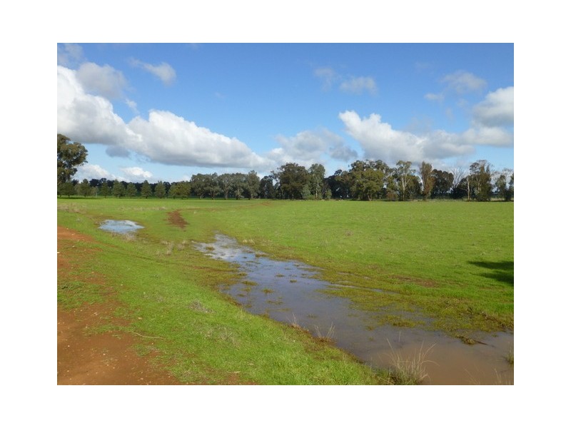 0 ‘Linden’ Bogan Road, Parkes NSW 2870