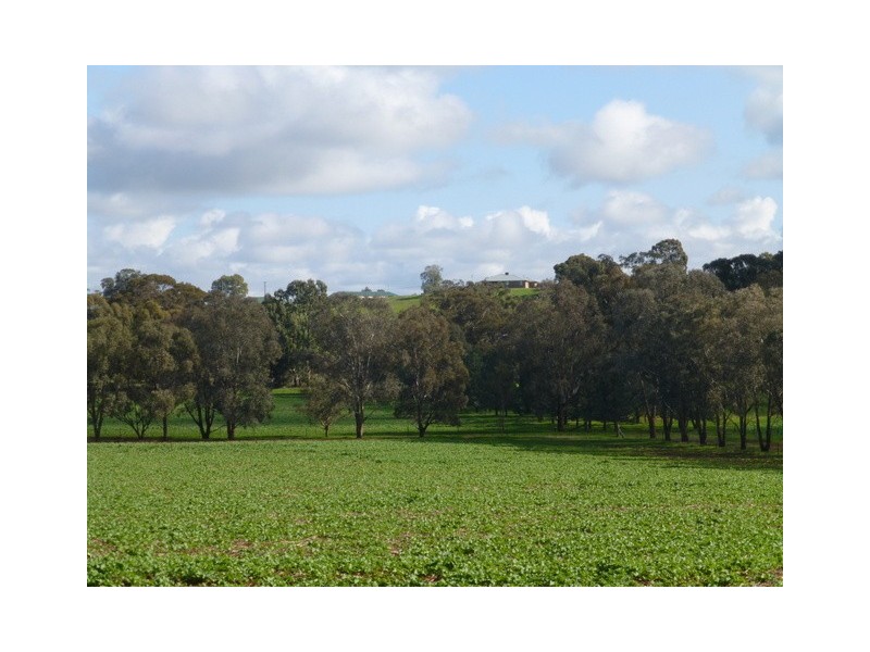 0 ‘Linden’ Bogan Road, Parkes NSW 2870