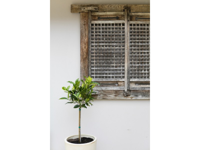 35 Waterhouse Avenue, St Ives NSW 2075