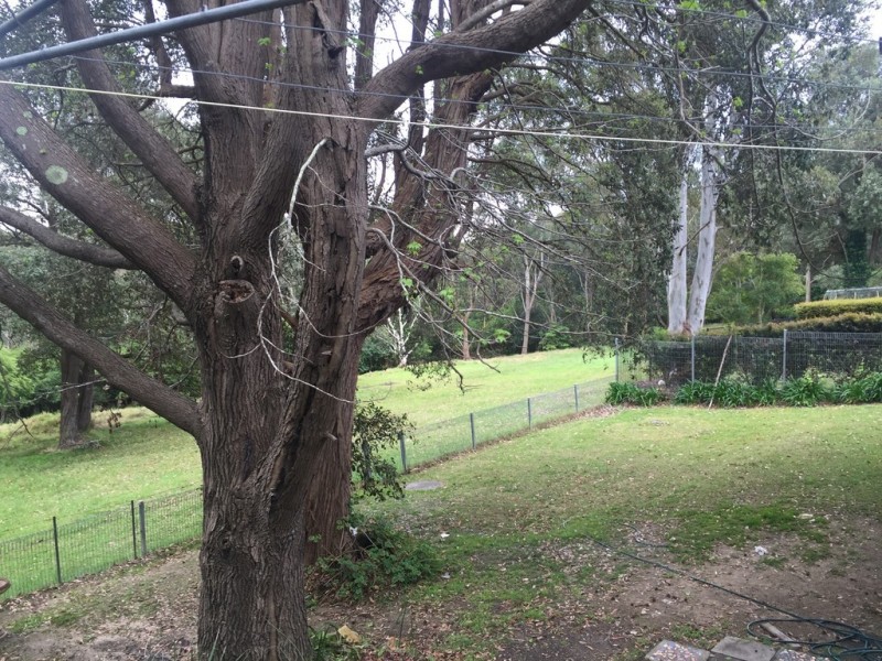 12 Warrimoo Avenue, St Ives NSW 2075