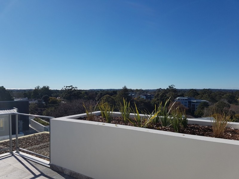 1404/169-177 Mona Vale Road, St Ives NSW 2075